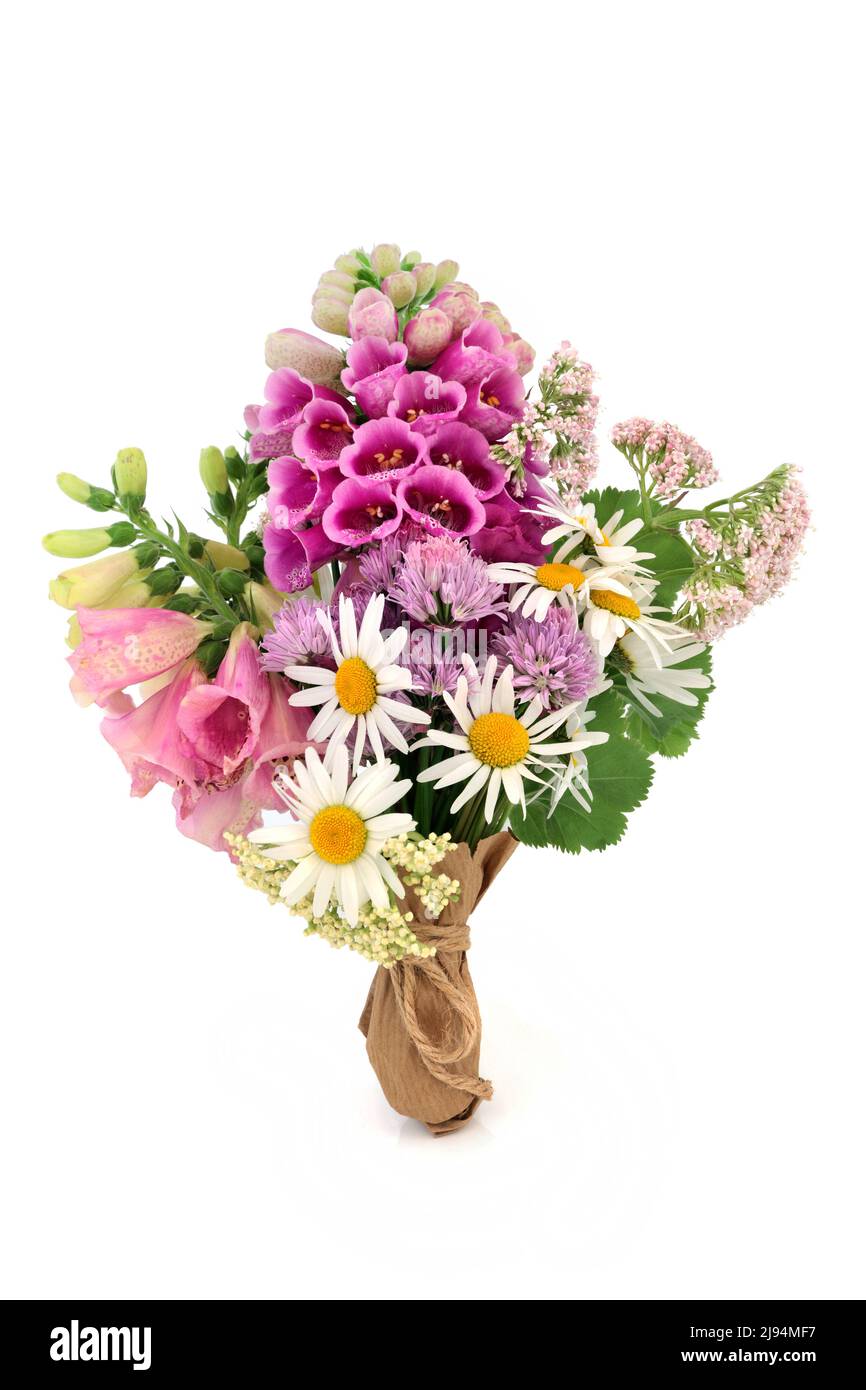 Englischer Wildblumenstrauß mit Sommerblumen und Kräutern. Alle Pflanzen werden in natürlichen alternativen pflanzlichen Heilmitteln und Blumenhilfsmitteln verwendet. Auf Weiß. Stockfoto