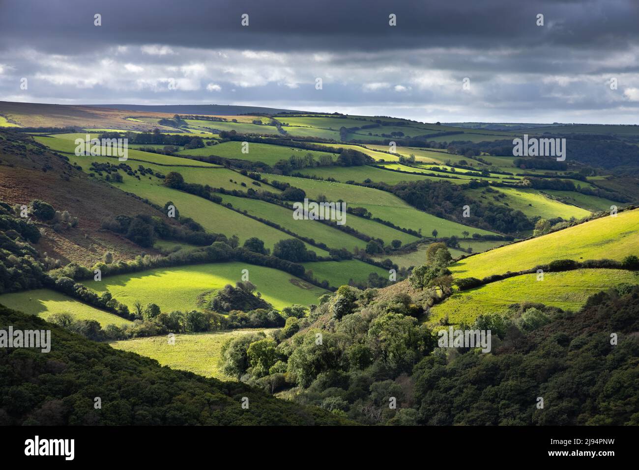 The Valley of the East Lyn vom County Gate, Exmoor National Park, Devon, England, Großbritannien Stockfoto