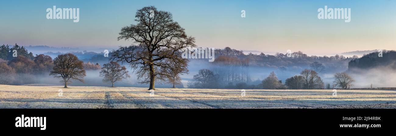 Ein frostiger nebliger Morgen in Haydon, Dorset, England, Großbritannien Stockfoto