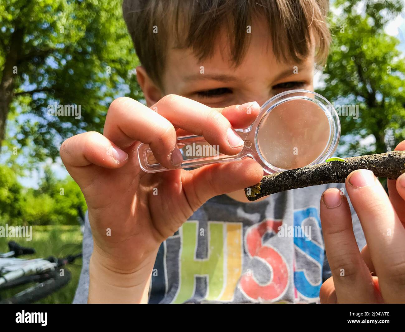 Ein Kind im Freien in einem Park blickt mit einer Lupe auf eine kleine grüne Raupe. Ein kleiner Junge studiert ein Insekt mit einer Lupe. Ein Kind Stockfoto