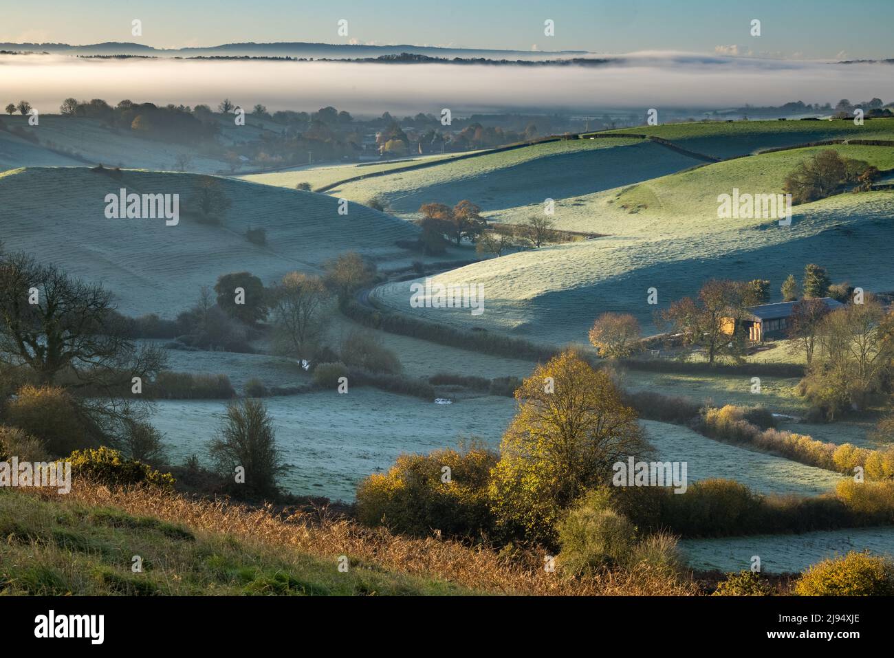 Ein frostiger Herbstmorgen in Oborne, Dorset, England, Großbritannien Stockfoto