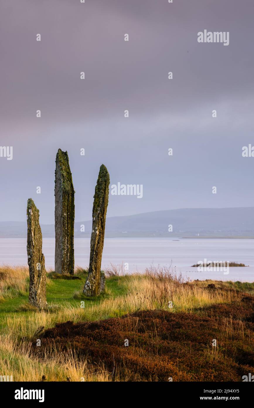 The Ring of Brodgar at Dawn, Festland, Orkney Isles, Schottland, Großbritannien Stockfoto