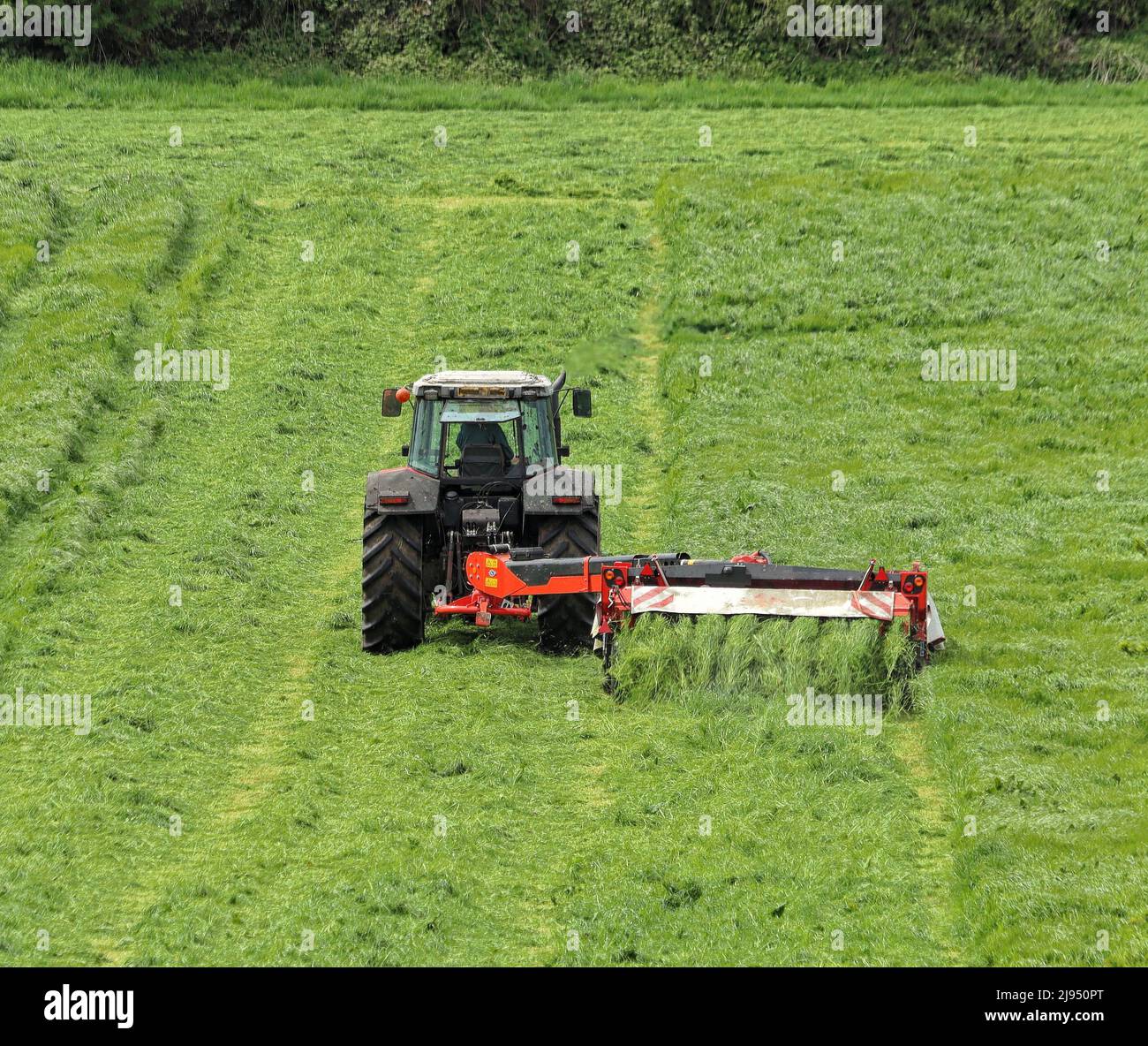 Traktor schneidet Gras auf einer Wiese Stockfoto