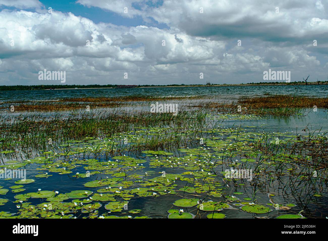 Wasserlandschaft in Stockfoto