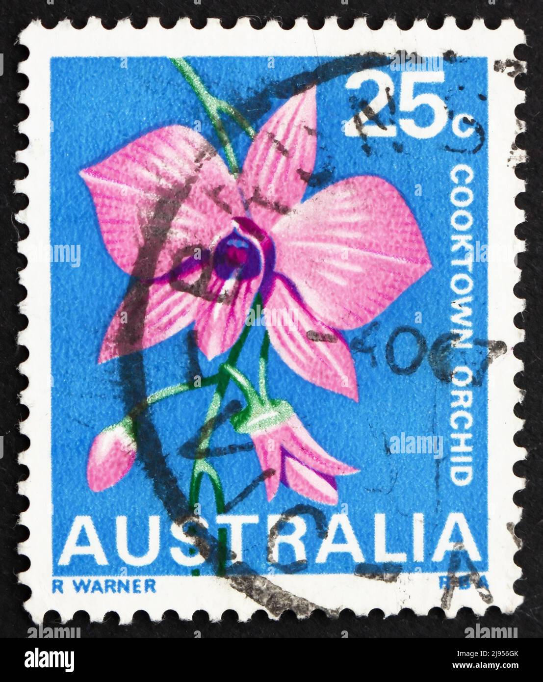 AUSTRALIEN - UM 1968: Eine in Australien gedruckte Marke zeigt Cooktown Orchid, Queensland, State Flower, um 1968 Stockfoto