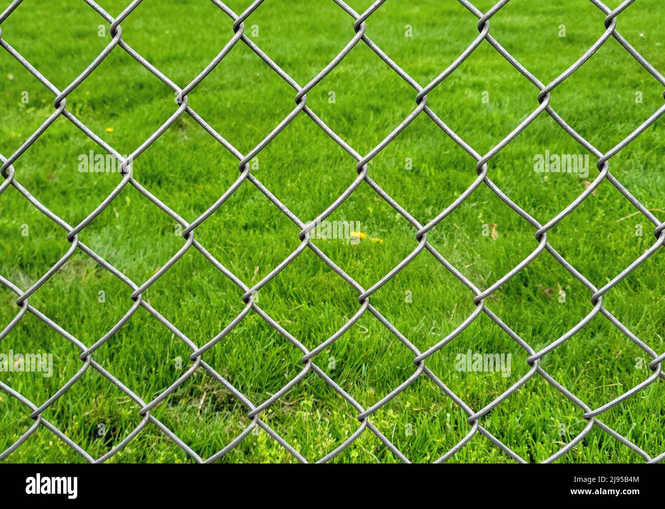 Leuchtend grünes Gras mit Kettengliederzaun-Muster Stockfoto