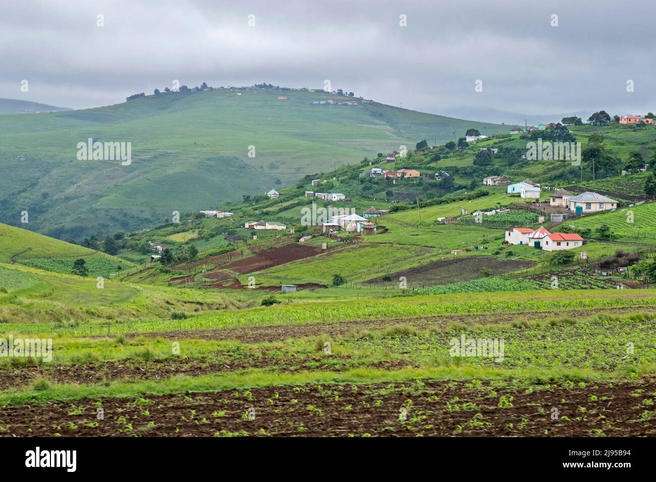 Ländliche Siedlung auf dem Land in der Nähe von Port St. Johns, südliches Ende der Wilden Küste, O.R.Tambo, Eastern Cape Province, Südafrika Stockfoto