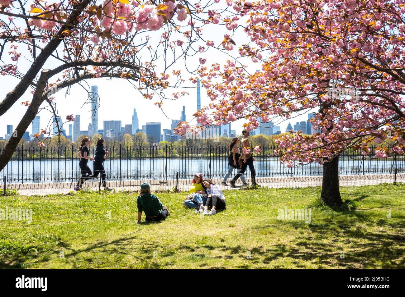 Central Park ist eine wunderschöne städtische Oase im Frühling, New York City, USA 2022 Stockfoto