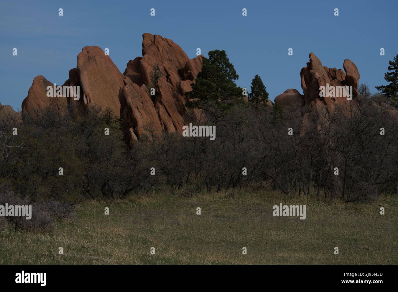 Felsformation im Roxborough State Park Colorado Stockfoto