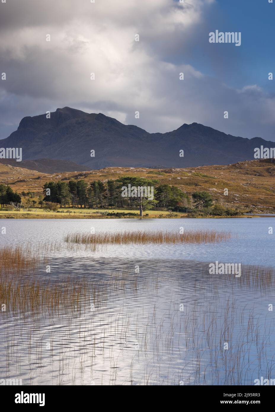 Loch nan Dailthean, Inverewe Estate, Poolewe, Wester Ross Stockfoto