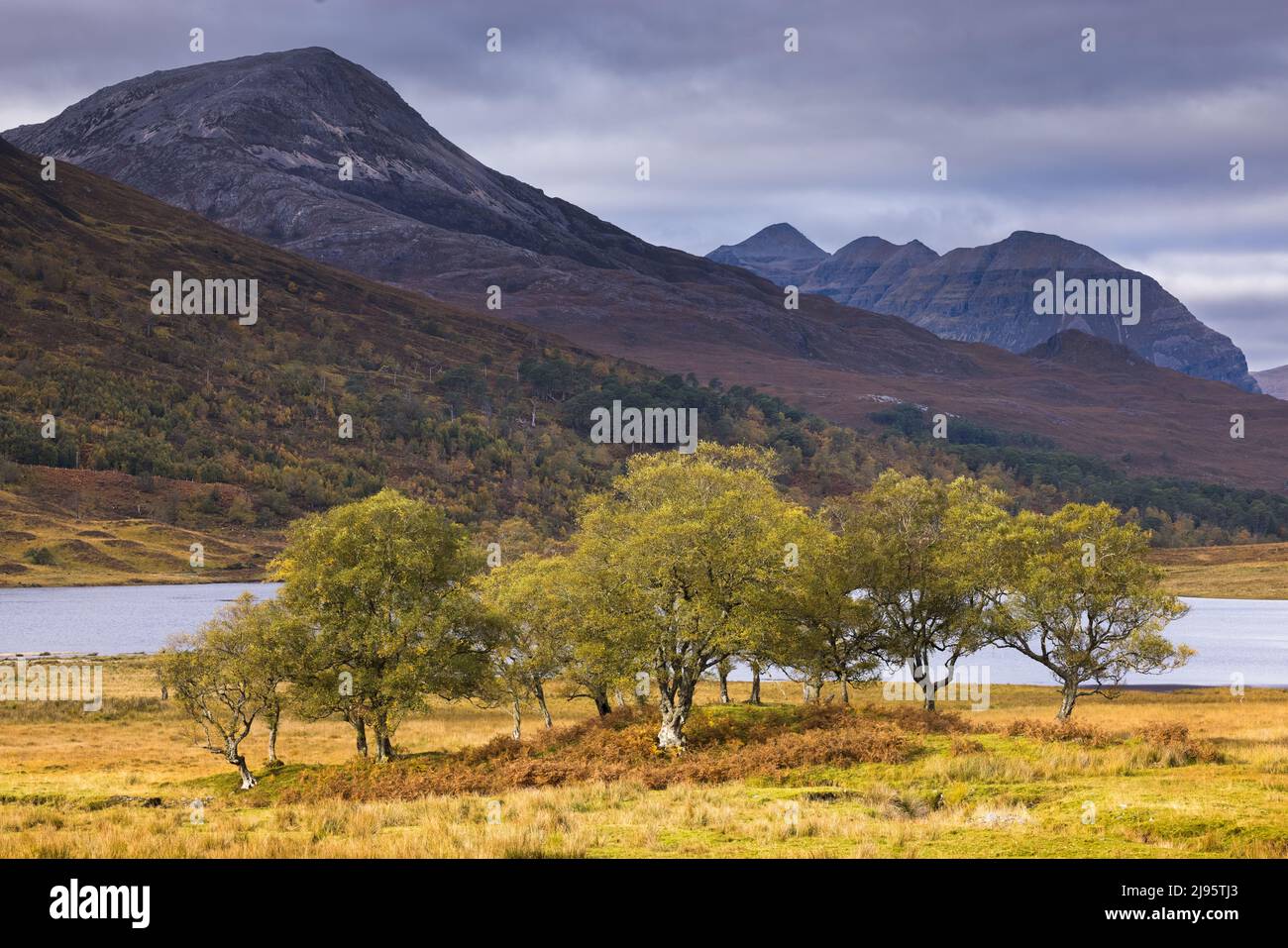 Herbstfarben, Loch Coulin, Wester Ross, Schottland, Großbritannien Stockfoto