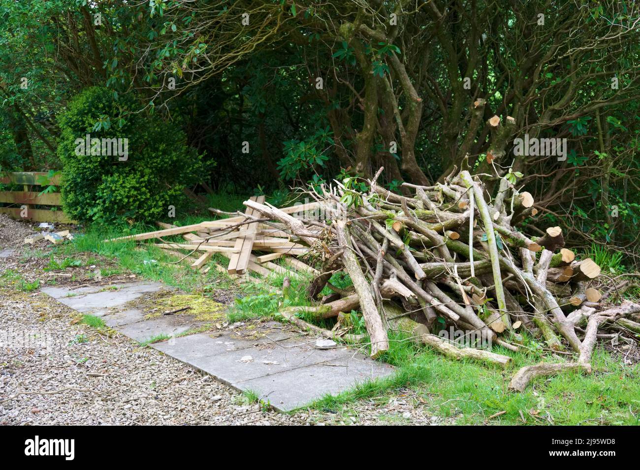 Gehackte rundholz zum verkauf in Kamin zu Hause gespeichert auf Wald Holz grüne Energie aus Biomasse Stockfoto