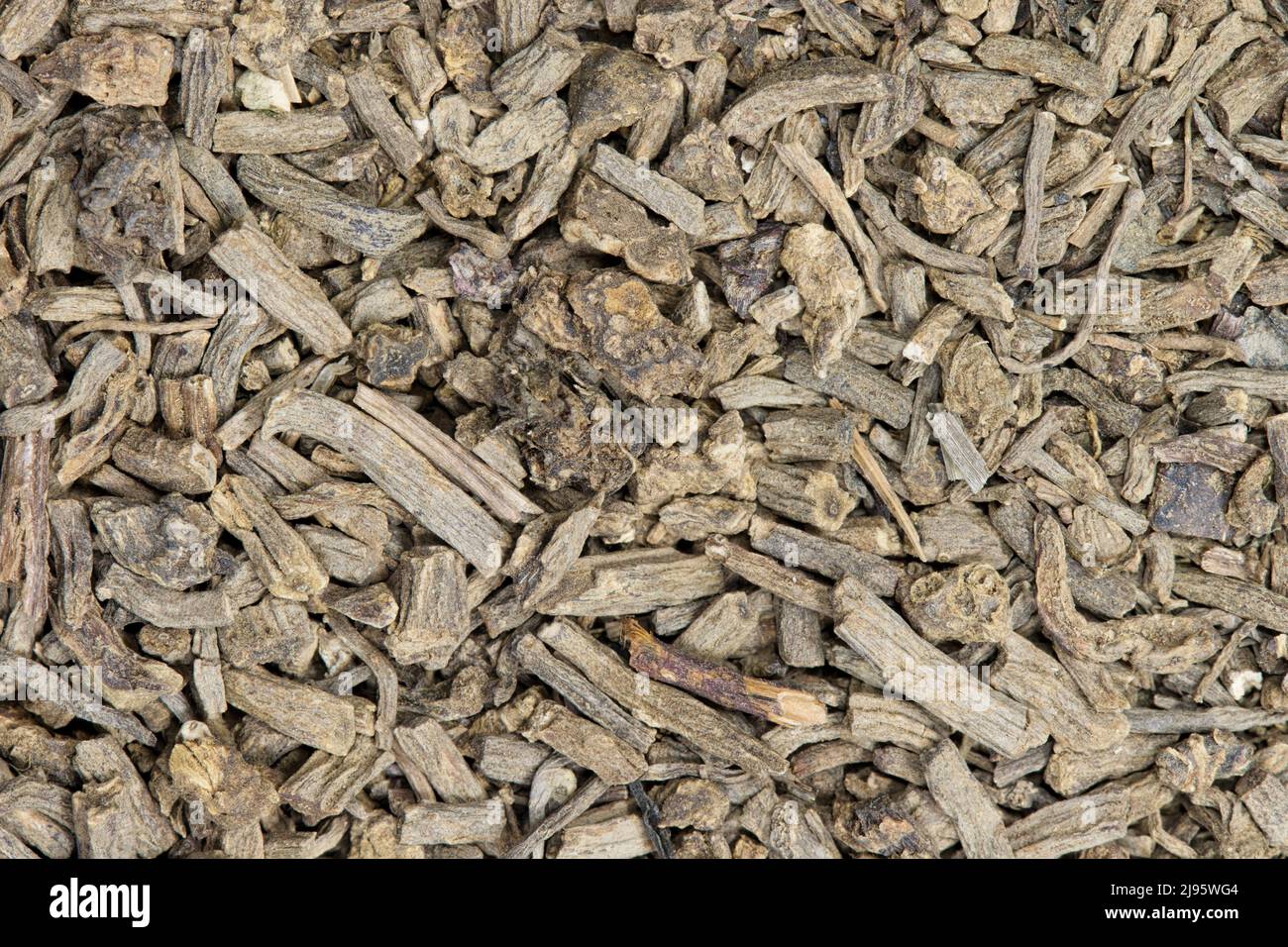 Getrocknete Baldrianwurzelstücke (Valeriana officinalis), Nahaufnahme Hintergrundbild. Traditionelles Heilkraut, das auch als Lockstoff für Katzen verwendet wird. Stockfoto