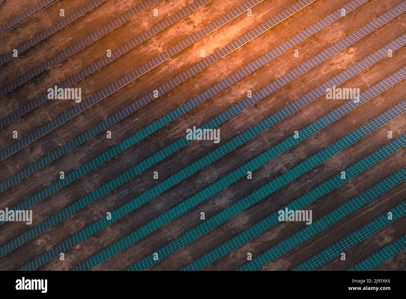 Draufsicht auf lange Reihen von Sonnenkollektoren bei Sonnenuntergang Stockfoto