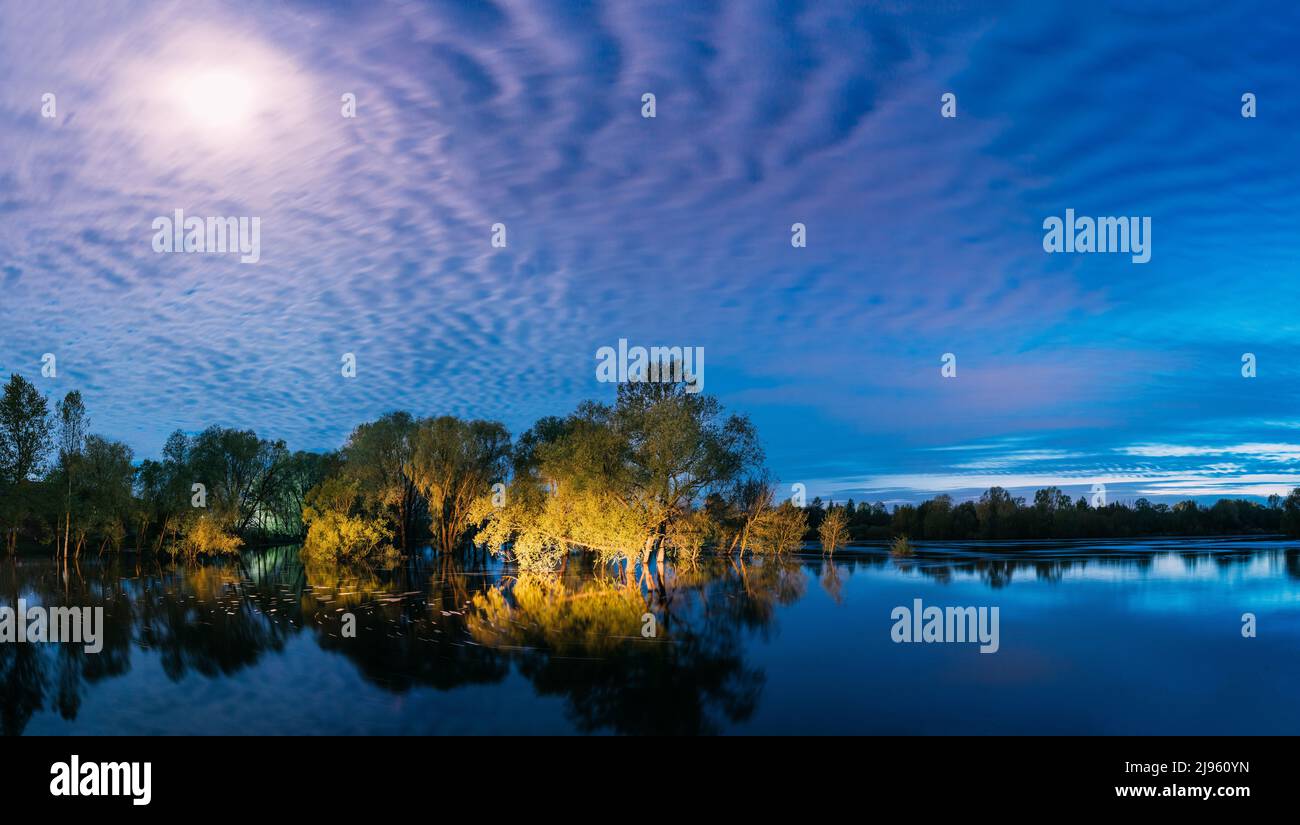 Panorama-Nachtlandschaft mit Bäumen, die im Wasser während der Frühlingsflut Hochwasser im Mondlicht stehen. Bäume Wälder im Wasser überfluten während Eines Frühlings Stockfoto