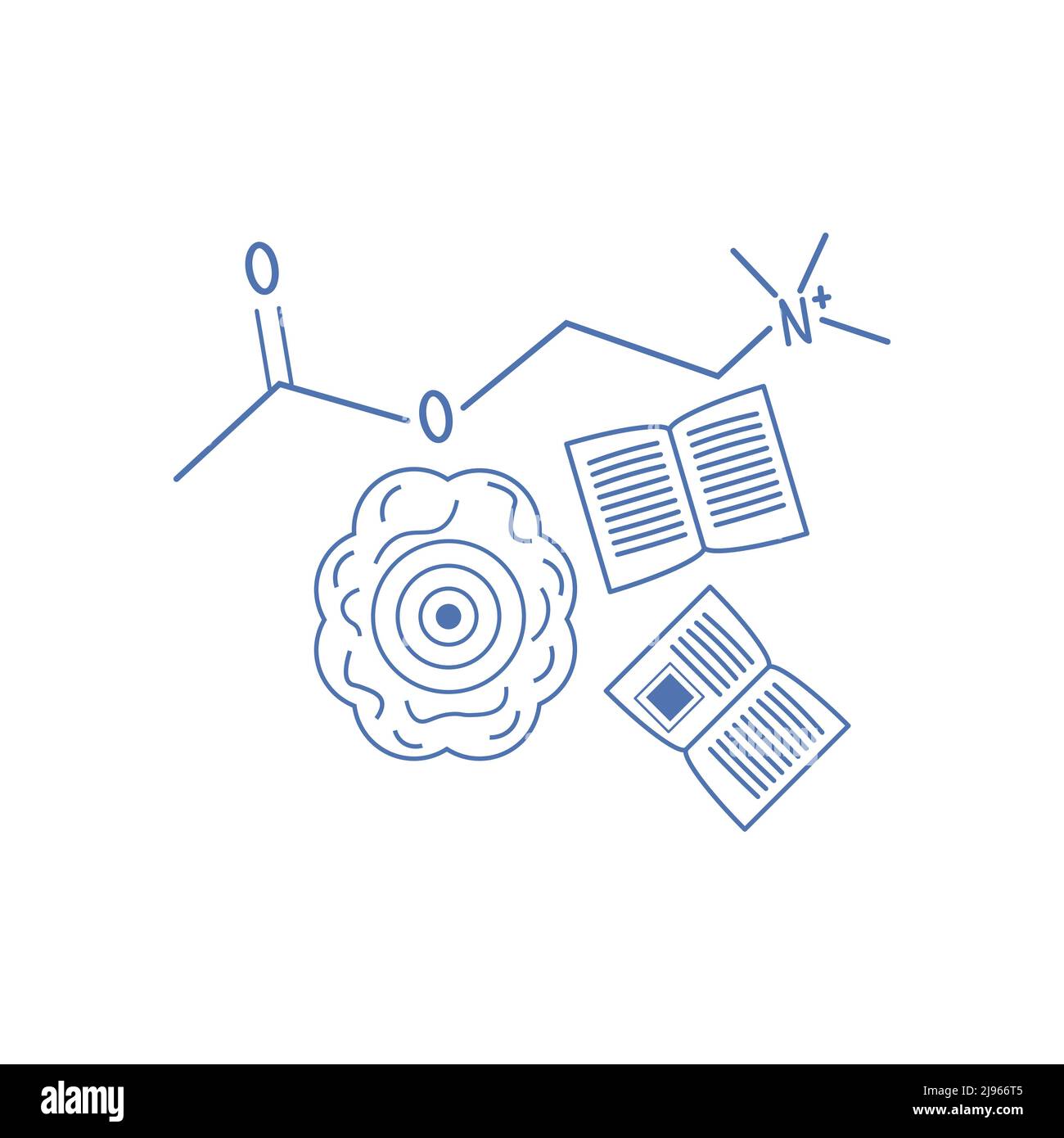 Acetylcholin-Molekül und Learinig-Vektor-Illustration Stock Vektor