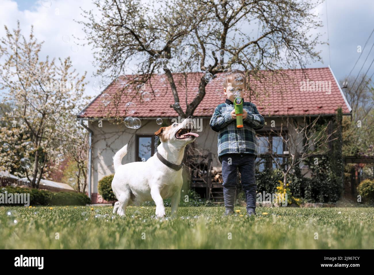 Kleiner Junge, der eine Seife aus Blasen Pistole bläht, während er mit seinem Hund auf einem Rasen in der Nähe des Hauses spielt Stockfoto