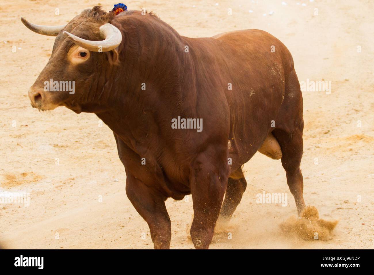 Taurin Stockfoto