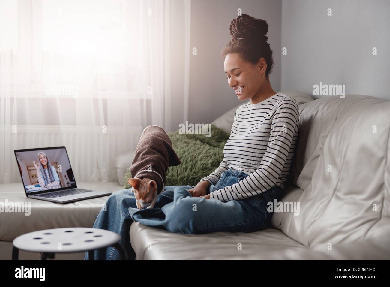 Glückliche junge Frau, die lächelt und auf der Couch sitzt und mit der Katze spielt, während sie einen Videoanruf hat Stockfoto