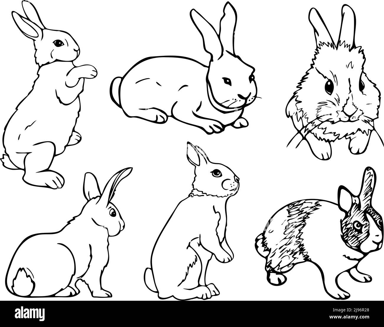 Schwarz weiß kaninchen Stock-Vektorgrafiken kaufen - Alamy