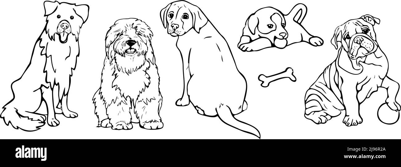 Vektor-Illustration mit Sammlung von verschiedenen Hunderassen. Design für das ausmalen. Stock Vektor
