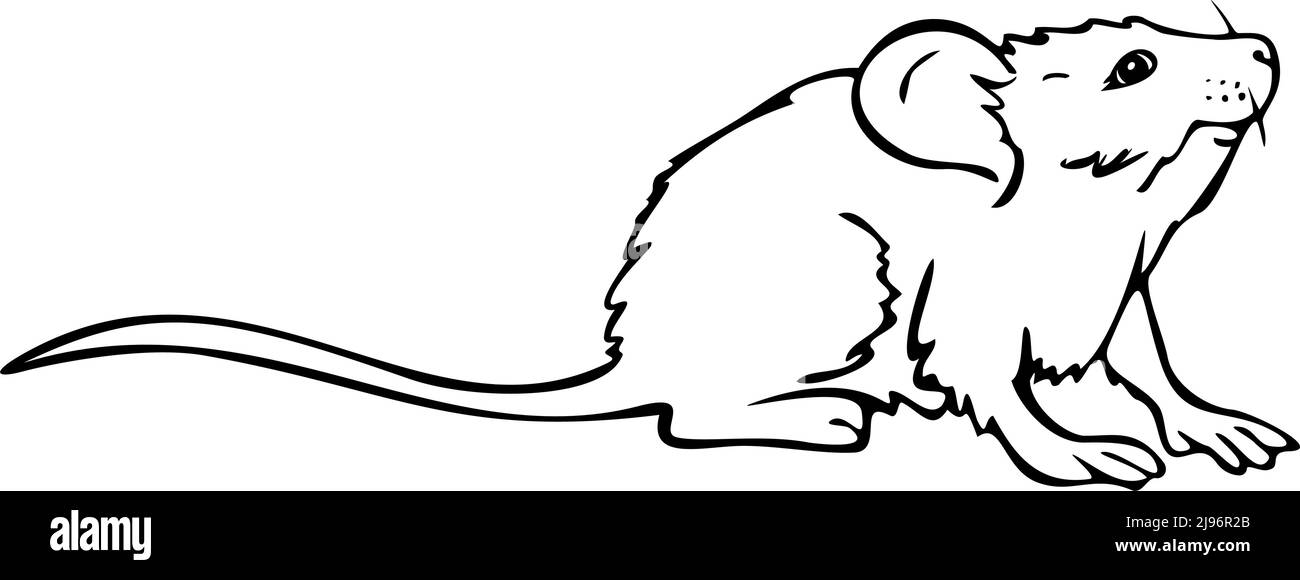 Vektordarstellung der schwarzen und weißen Maus. Design für das ausmalen. Stock Vektor