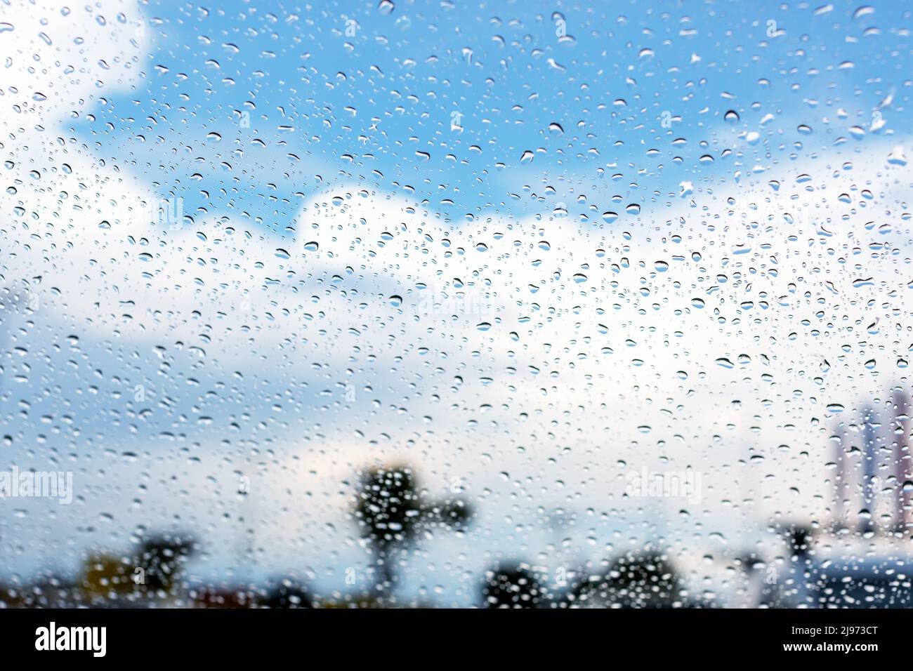 Blick durch die Windschutzscheibe mit Regentropfen. Hintergrund Stockfoto