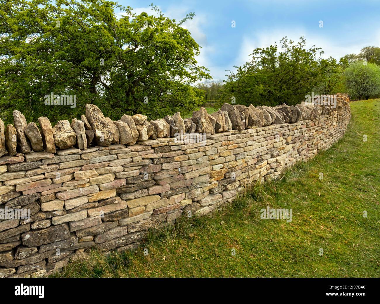 Eine Trockensteinmauer auf Fish Hill im Broadway Tower Country Park, Broadway, Cotswolds, Worcestershire, England, Vereinigtes Königreich. Stockfoto