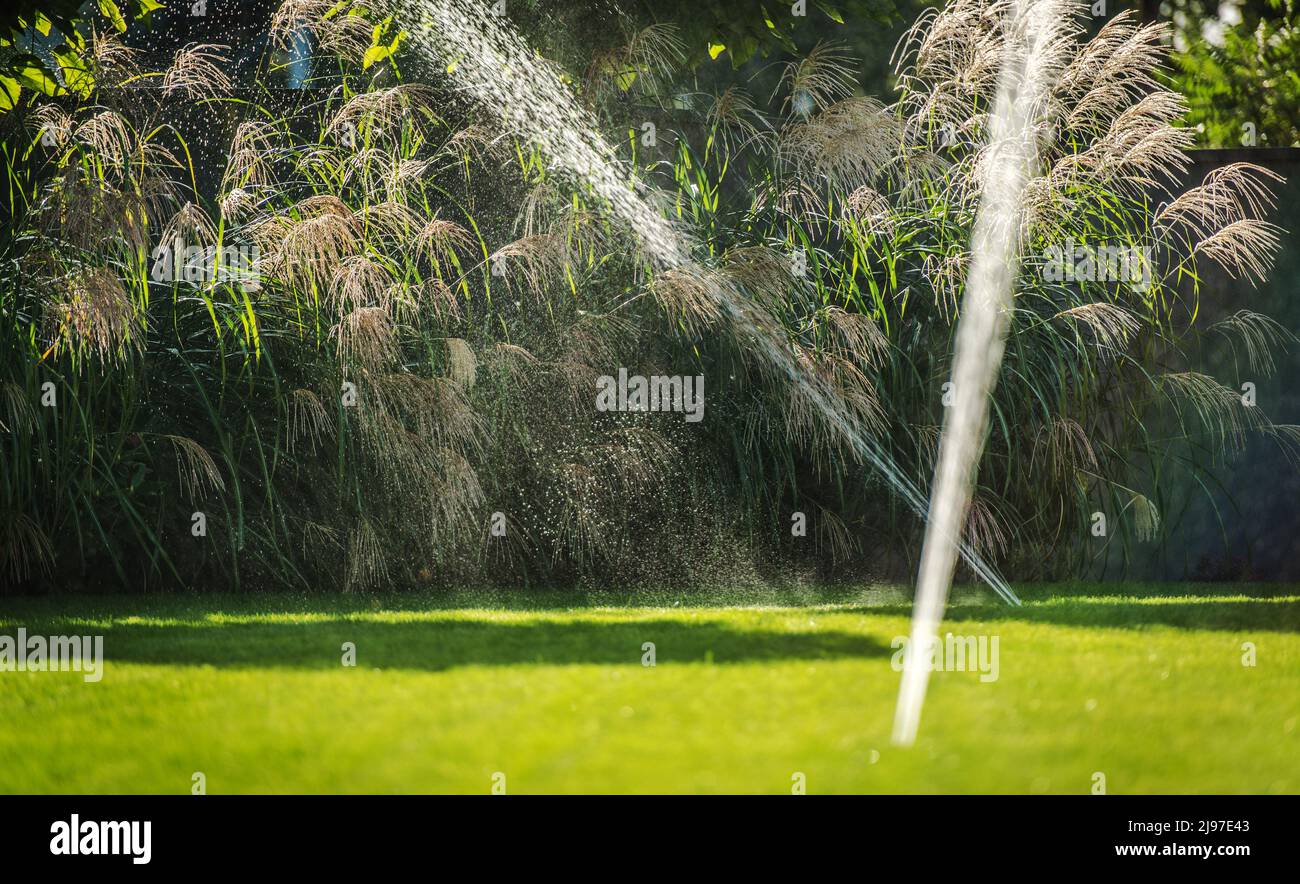 Automatische Bewässerung Von Gartensprinklern Im Hinterhof Bewässerung Wohn Rasen. Stockfoto
