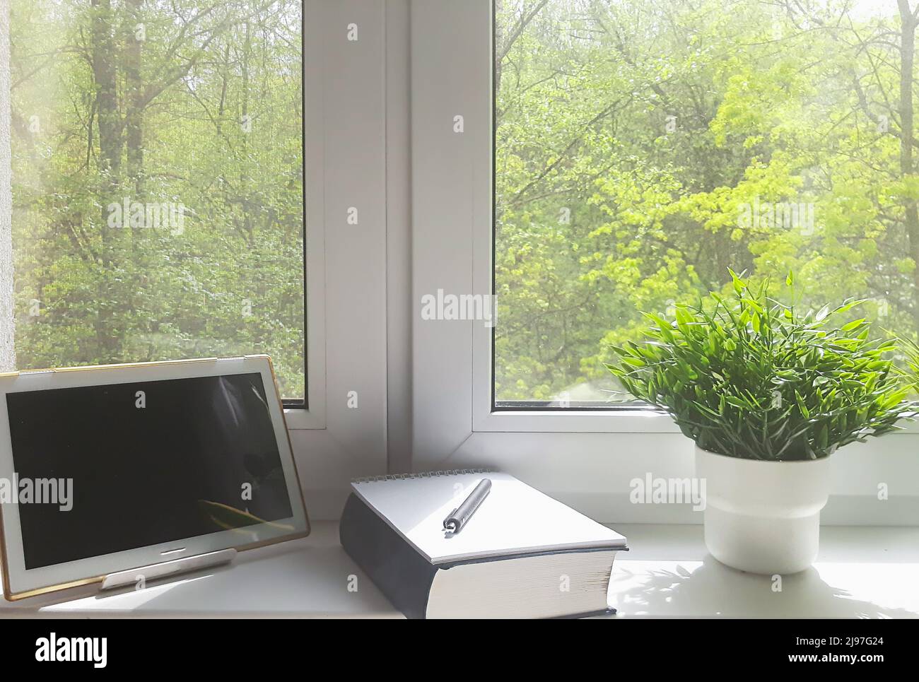 Morgen mit einer guten Aussicht vom Fenster, Notizen in einem Notizbuch für den Tag. Erfrischende Blumen im Innenbereich auf der Fensterbank Stockfoto