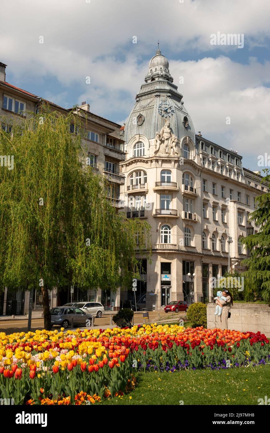 Tulpen und alte Architektur in der Innenstadt von Sofia, Bulgarien, Osteuropa, Balkan Stockfoto