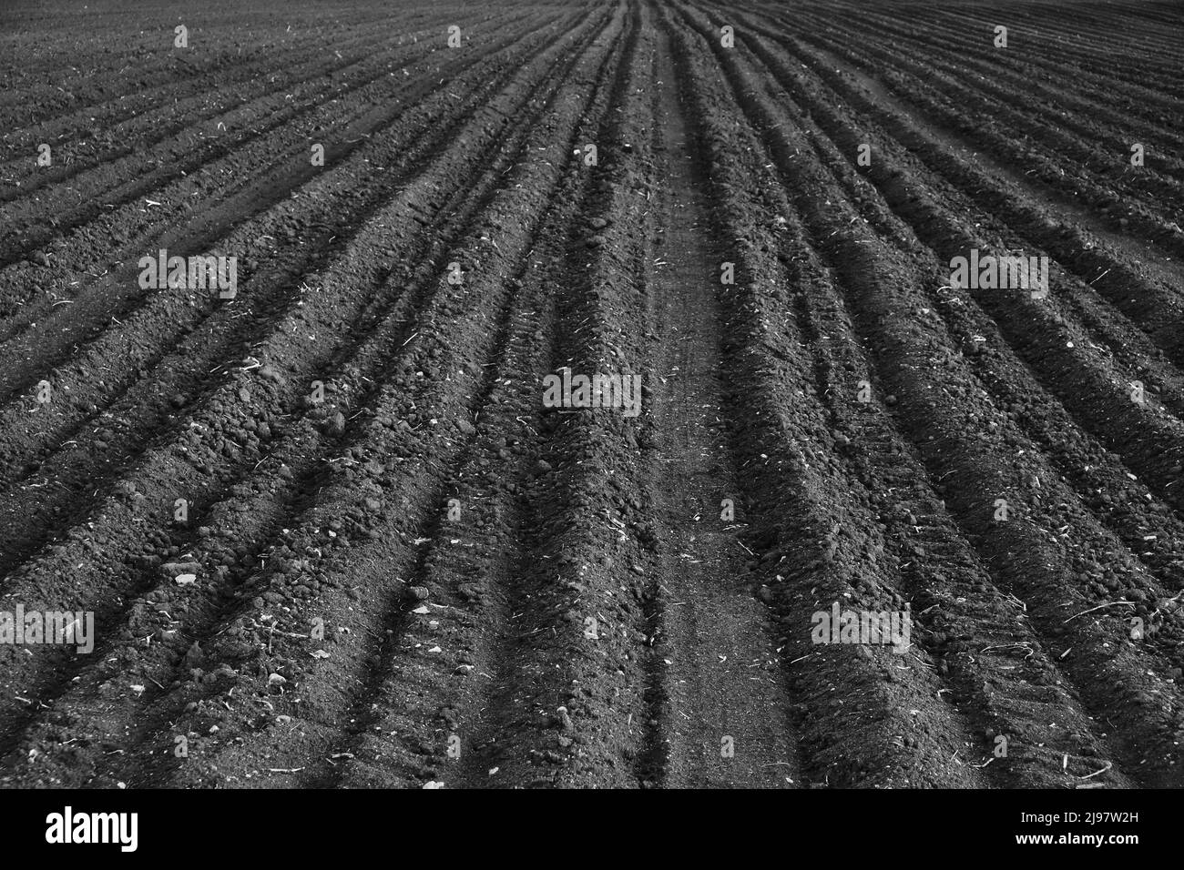 Frisch gepflügt und gesät Feld, Zeit für die Aussaat Stockfoto