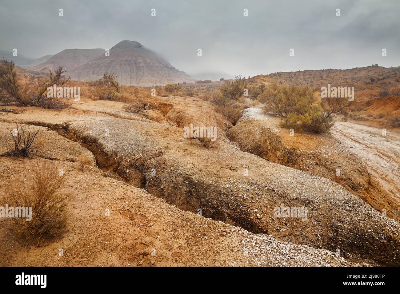 Landschaft von Red Mount mit Streifen bizarre geschichtete Berge in Canyon bei Nebel bedeckt bewölkten Himmel in schönen Wüstenpark mit trockener Pflanze an der Vorgruppe Stockfoto
