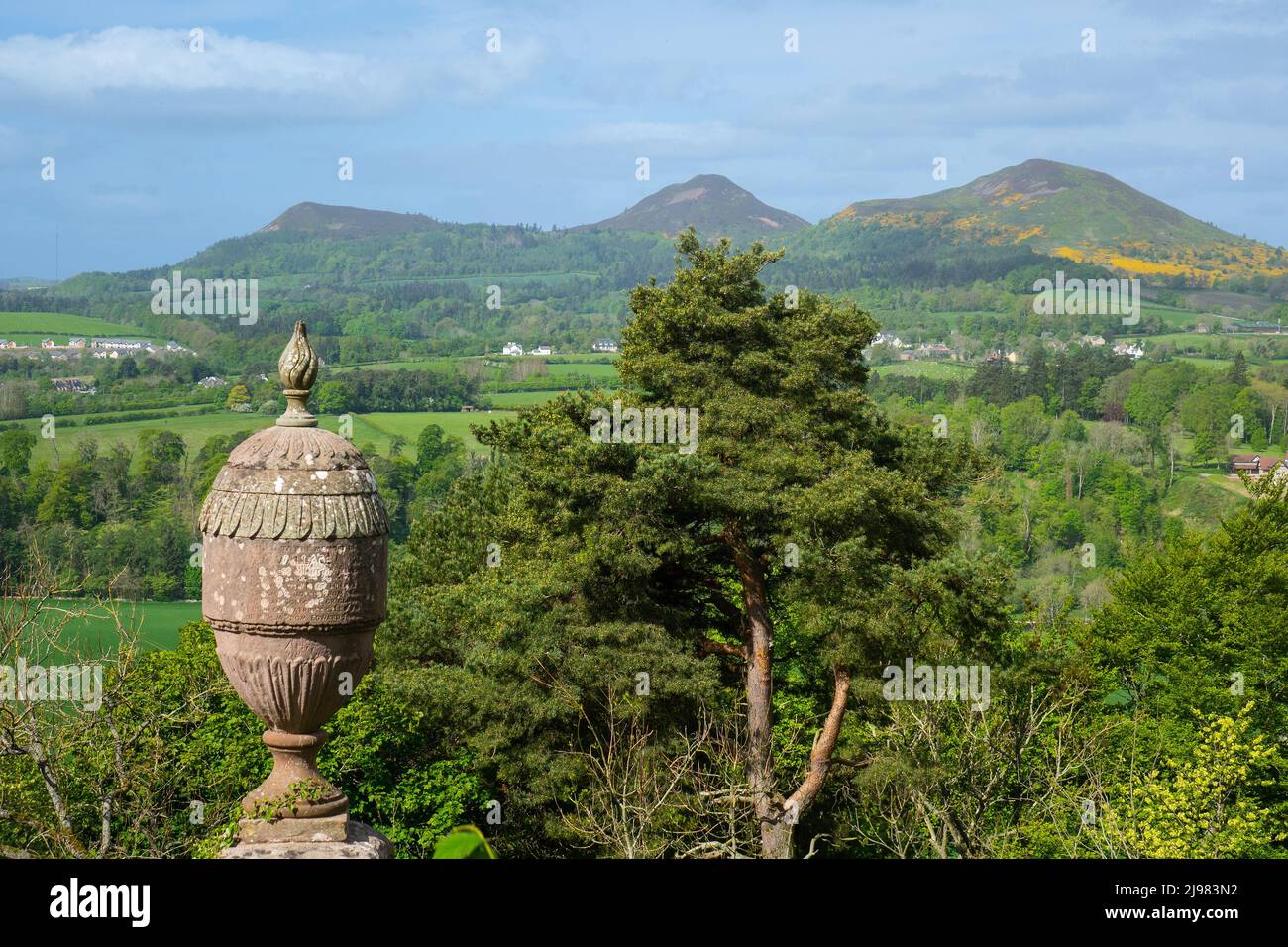 Schottland, Borders, Dryburgh, Eildon Hills von Wallace Statue Stockfoto