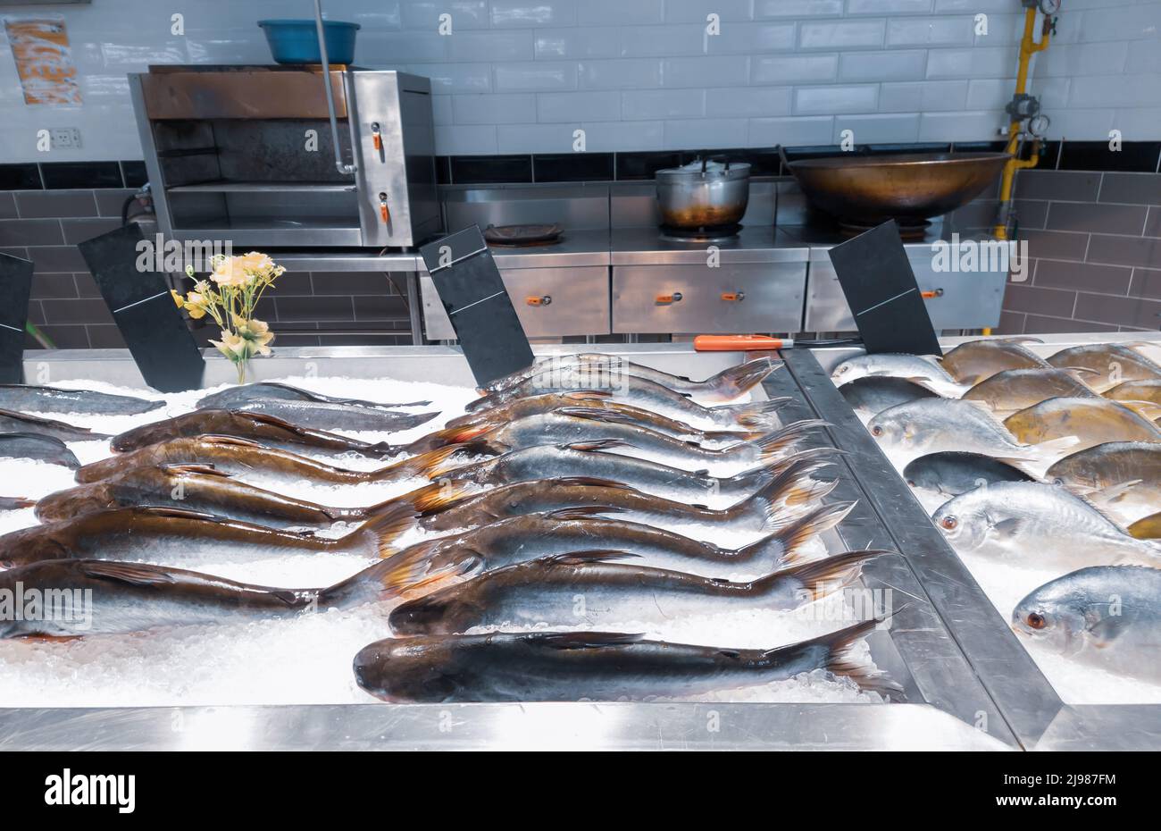 Auswahl an rohen Fischen auf Eis auf dem Nassmarkt. Stockfoto