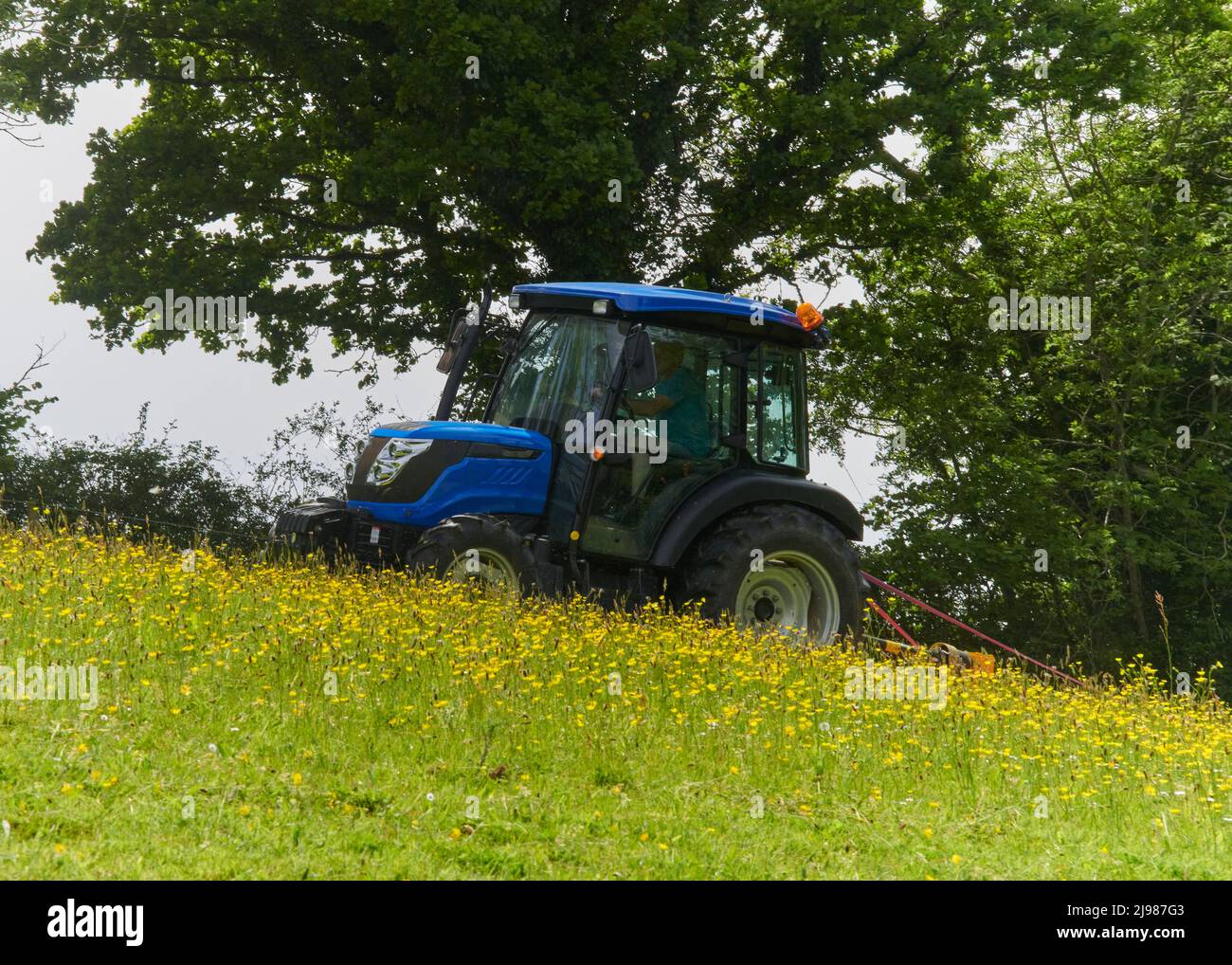 Felder in Devon werden oben angezeigt Stockfoto