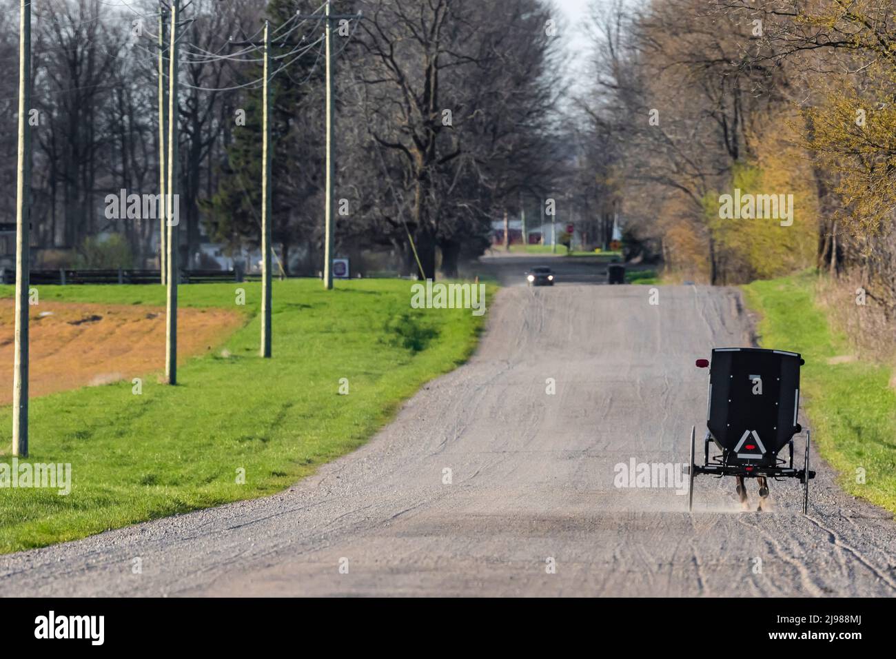 Amish Buggy auf einer Landstraße im Zentrum von Michigan, USA [Keine Eigentumsfreigabe; nur redaktionelle Lizenzierung] Stockfoto