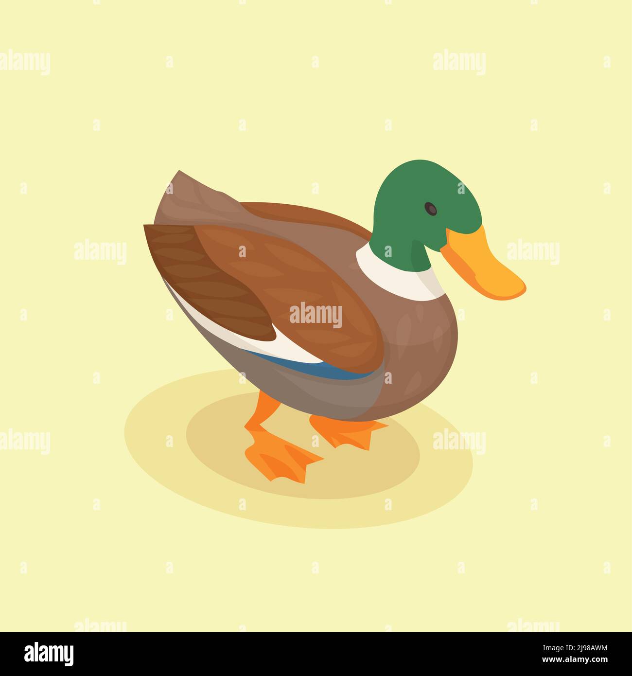 Geflügel Vektor-Illustration mit farbigen Ente isometrische Symbol in Cartoon Stil auf gelbem Hintergrund Stock Vektor