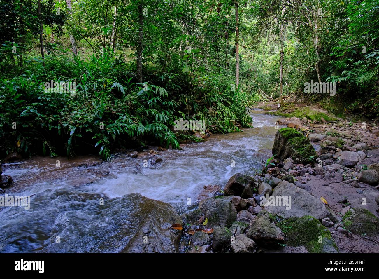 Das Innere des zentralen Dschungels von Peru, dichte Vegetation mit Flüssen und Wasserfällen voller Reinheit und Ruhe. Stockfoto