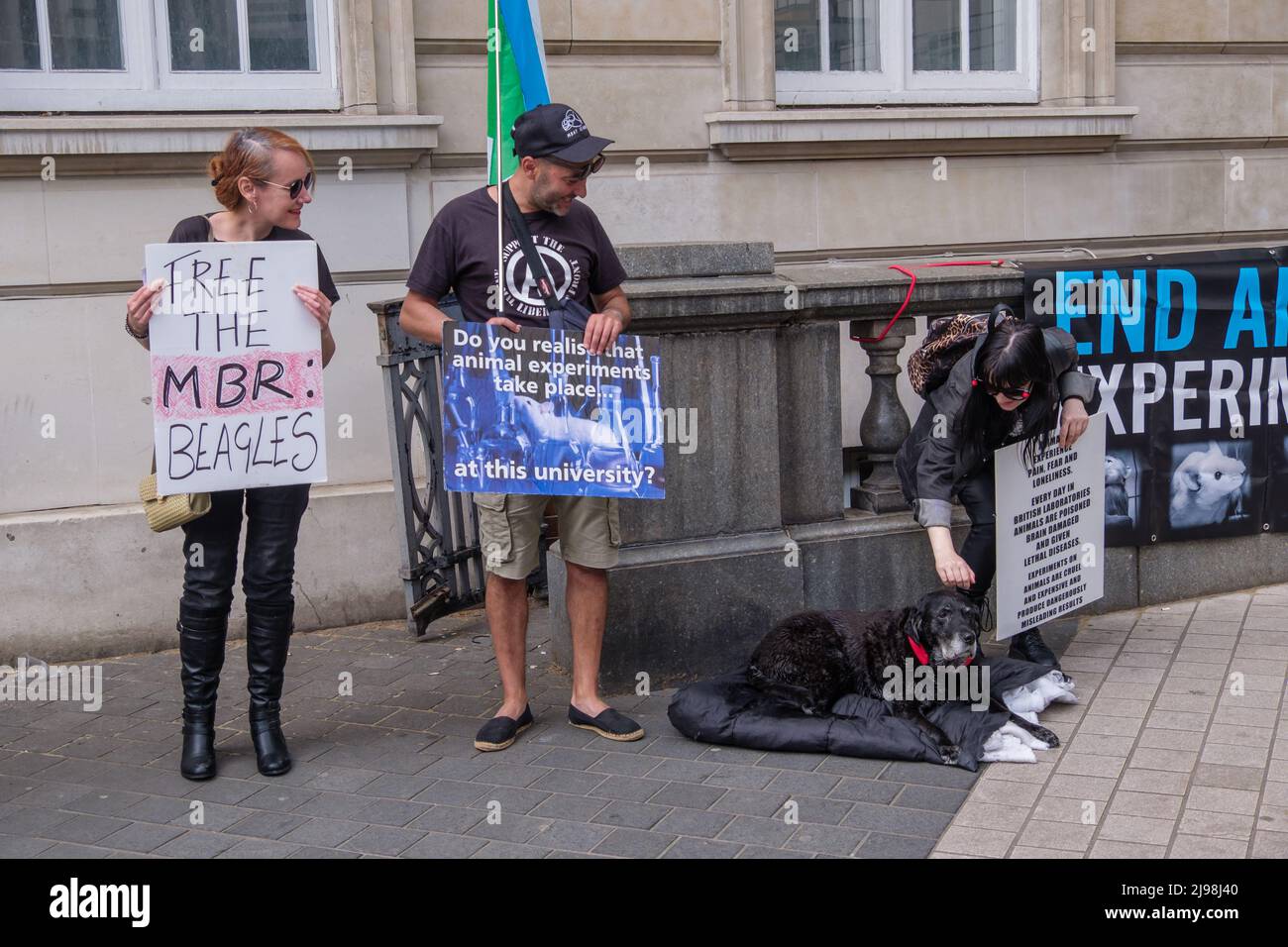 London, Großbritannien. 21 Mai 2022. Vivisektion enthüllte Unterstützer protestieren vor dem Imperial College in South Kensington mit Reden, Filmen, Postern und Flugblättern gegen die Barbarei von Tierversuchen, die in Labors mit Tieren in Forschung und Tests begangen wurden. Sie fordern das Imperial College auf, seine Tierversuche zu beenden. Peter Marshall Alamy Live News. Stockfoto