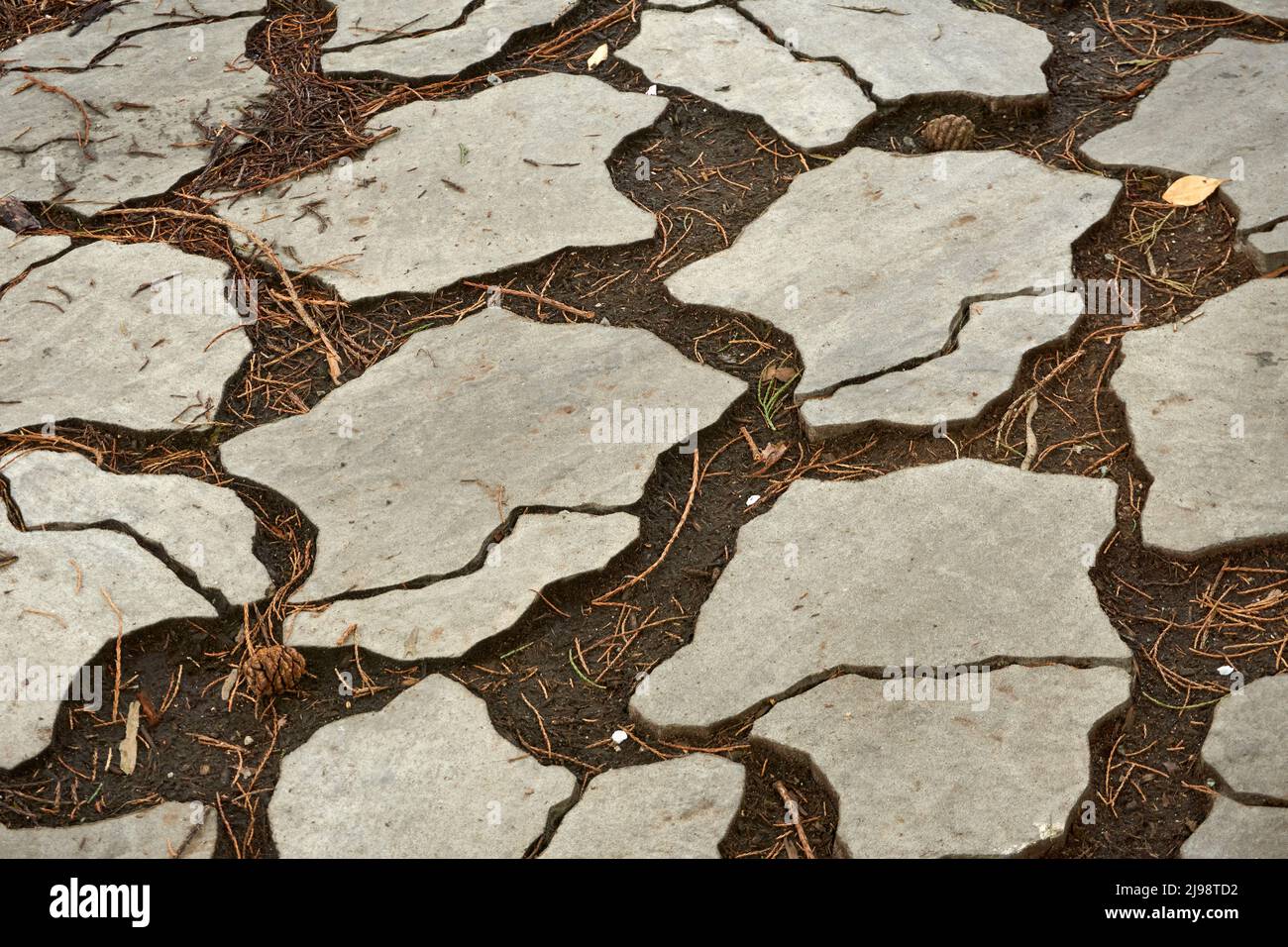 Nahaufnahme von unregelmäßig geformten Steinplatten, die einen Gehweg bilden Stockfoto