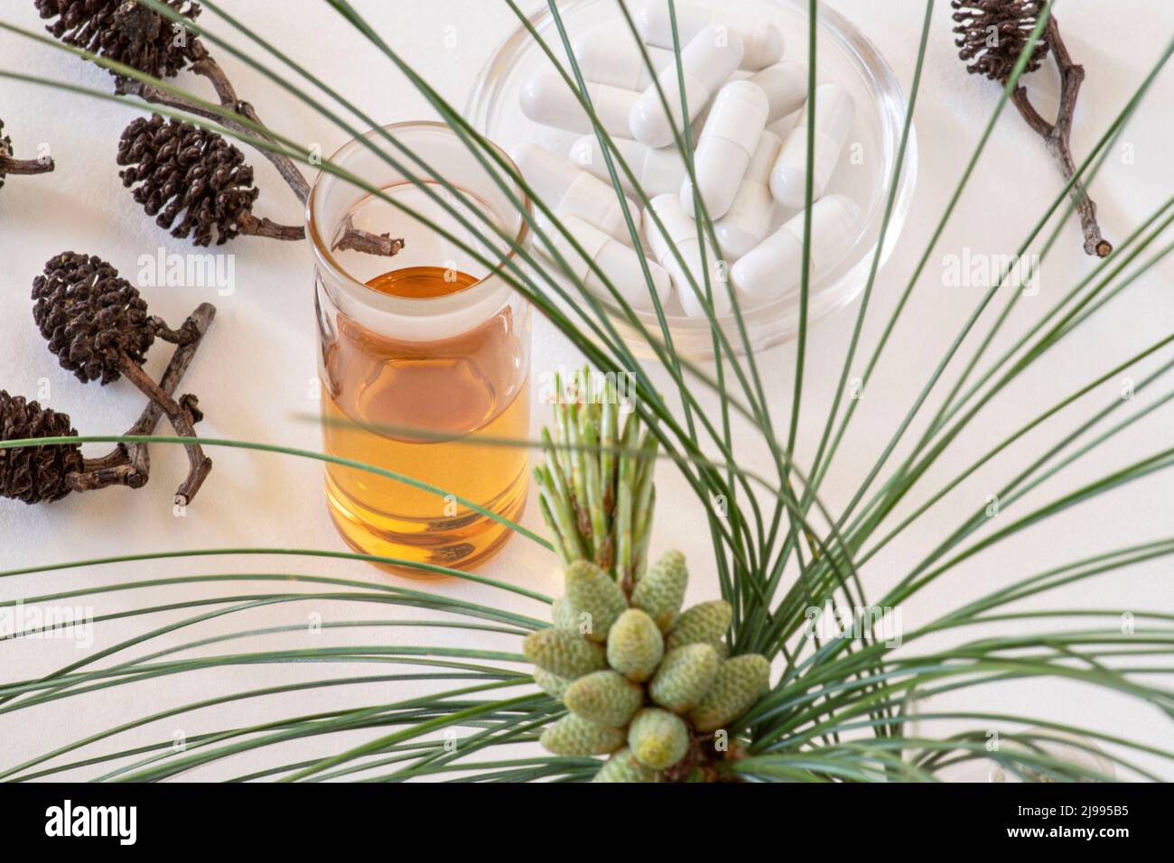 Flasche mit ätherischem Öl und weißen Blüten Stockfoto