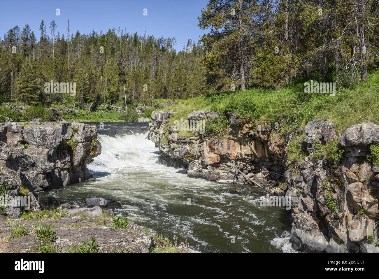 Sheep Falls auf Henrys Fork of Snake River, wild, landschaftlich, Wildwasser, Island Park, Fremont County, Idaho, USA Stockfoto