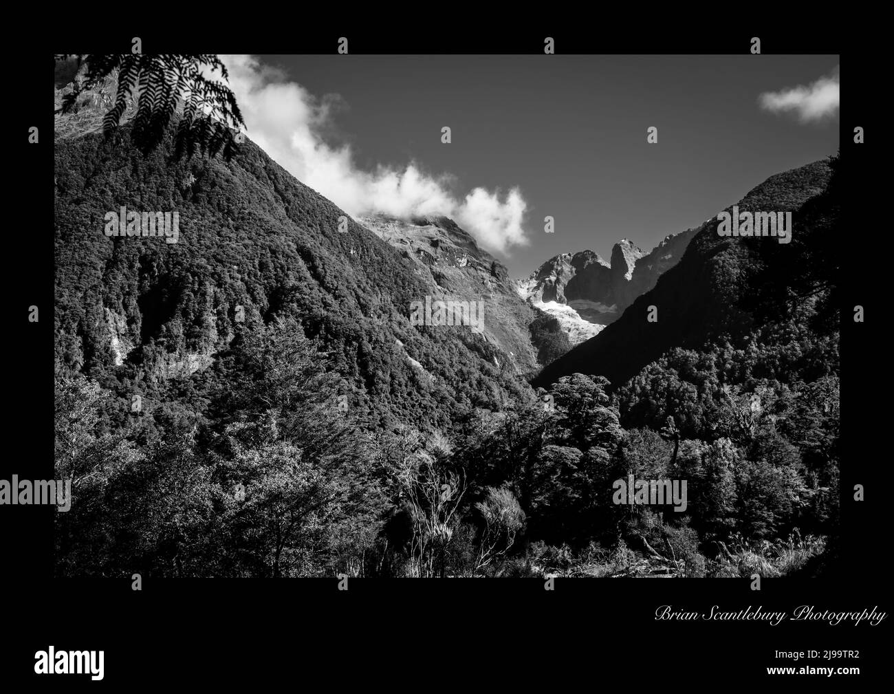 Blick durch das Tal zwischen großen Falten der südlichen Alpen Berge mit natürlichem Grün in Fiordland Neuseeland bedeckt. Stockfoto