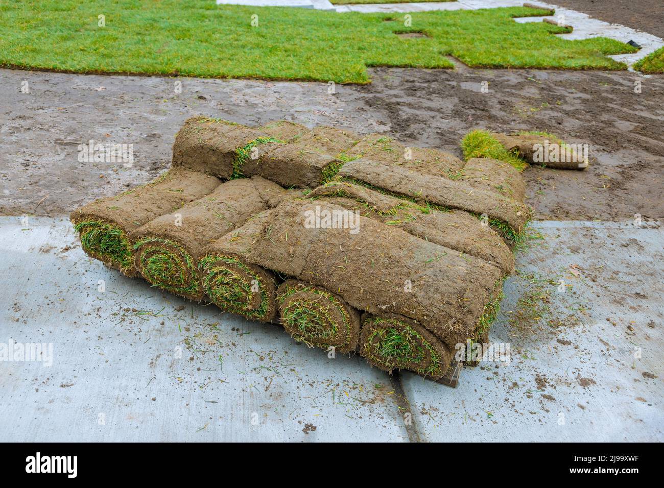 Material für die Landschaftsgestaltung Gebiet mit Rollen von Rasen natürlichen gerollten Rasen Stockfoto