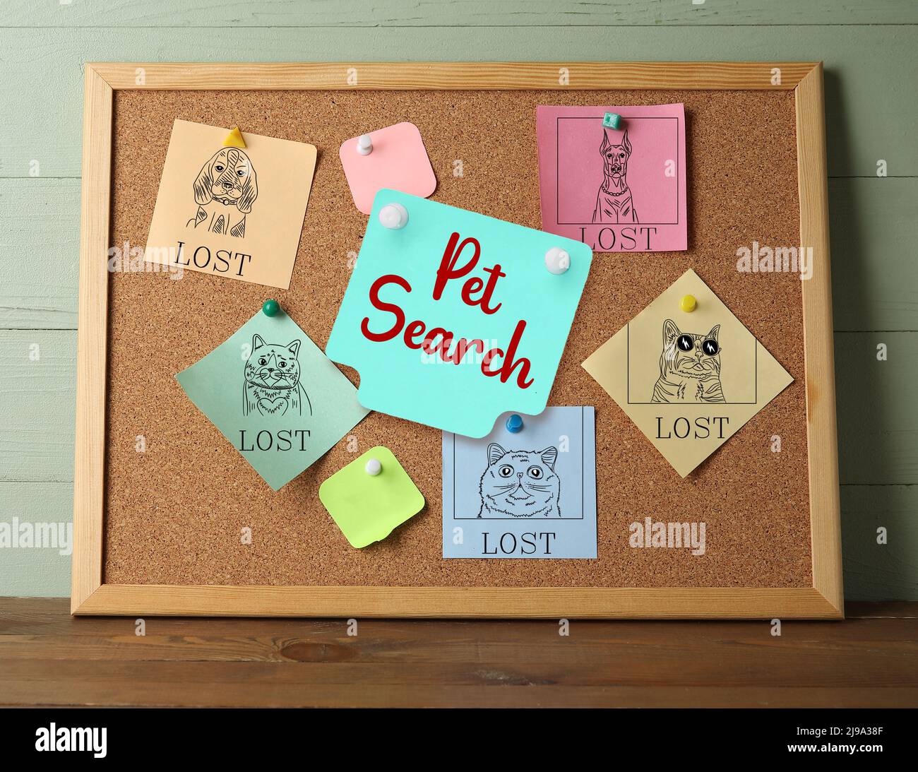 Papiere mit Bildern von verschiedenen Katzen und Hunden, die an eine Tafel geklemmt sind. PET-Suche Stockfoto