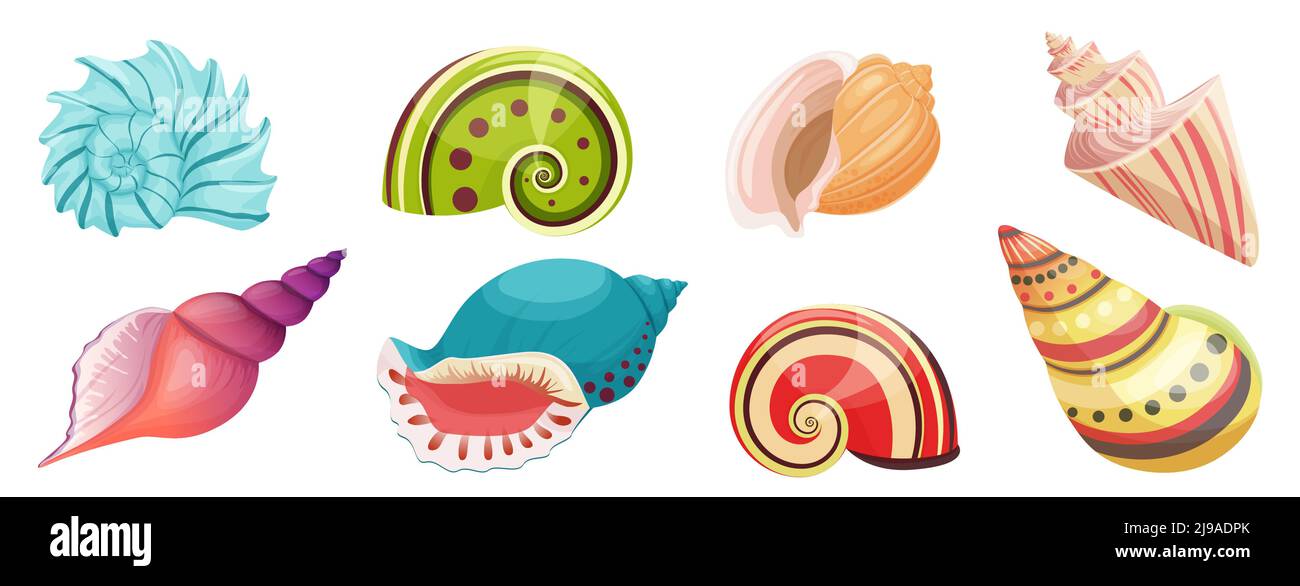 Muschelschalen vom tropischen Strand oder Unterwasser-Vektorgrafik. Cartoon bunte Wasserschalen mit Spiralmuschel, Sammlung von Weichtieren isoliert weiß. Krustentiere, Natur, Sommerkonzept Stock Vektor