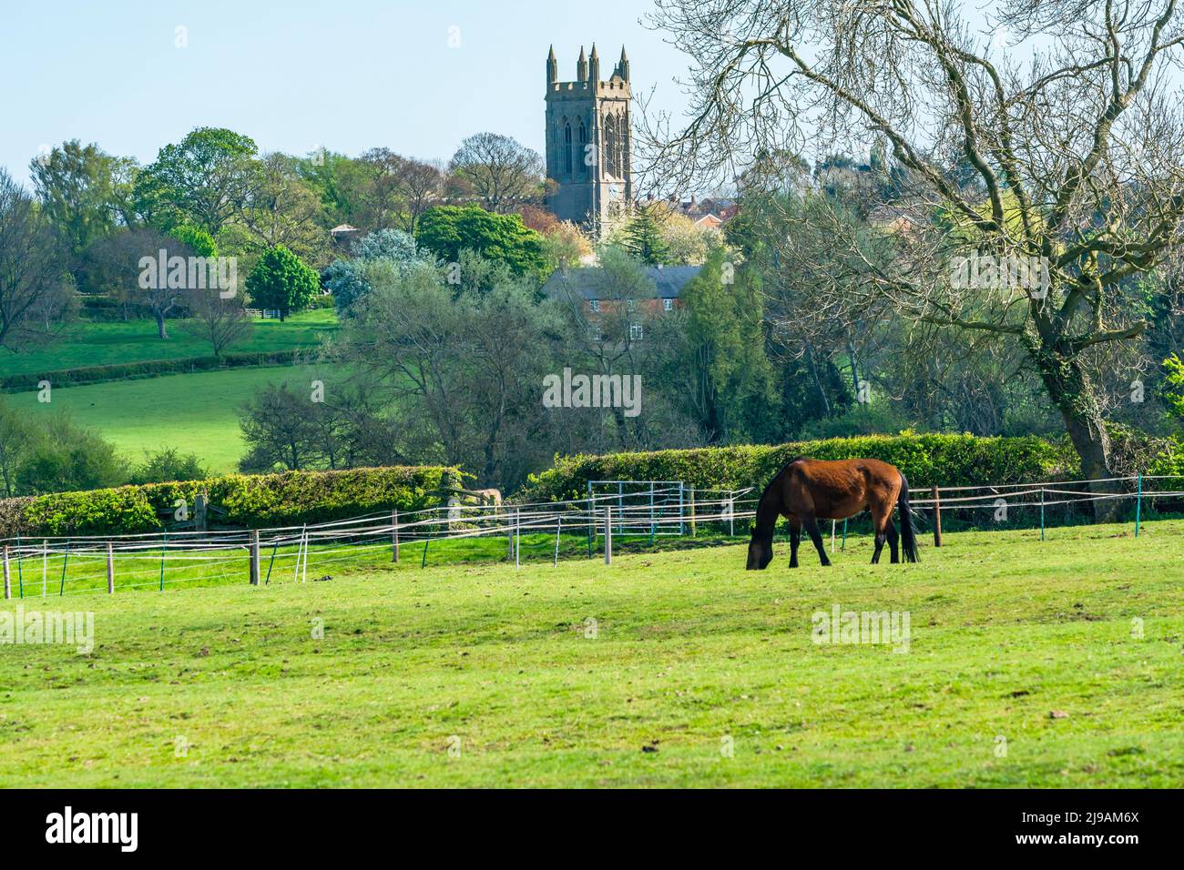 Englische Landschaft mit der St. Andrew's Kirche in der Ferne im Dorf Whissendine in Rutland, England Stockfoto