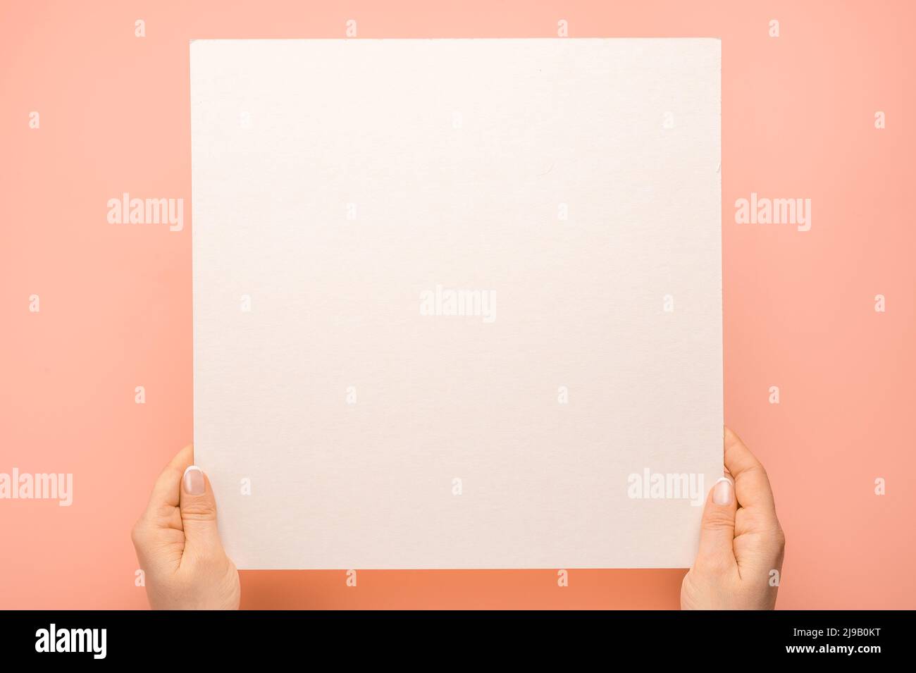 Über dem Kopf gedrehte Aufnahme von Frauenhänden, die ein quadratisches leeres Papierblatt auf einem rosafarbenen Tisch hielten. Frau Hände mit Mockup leeres Papier Blatt auf pastellfarbenem Hintergrund. Hände Hol Stockfoto