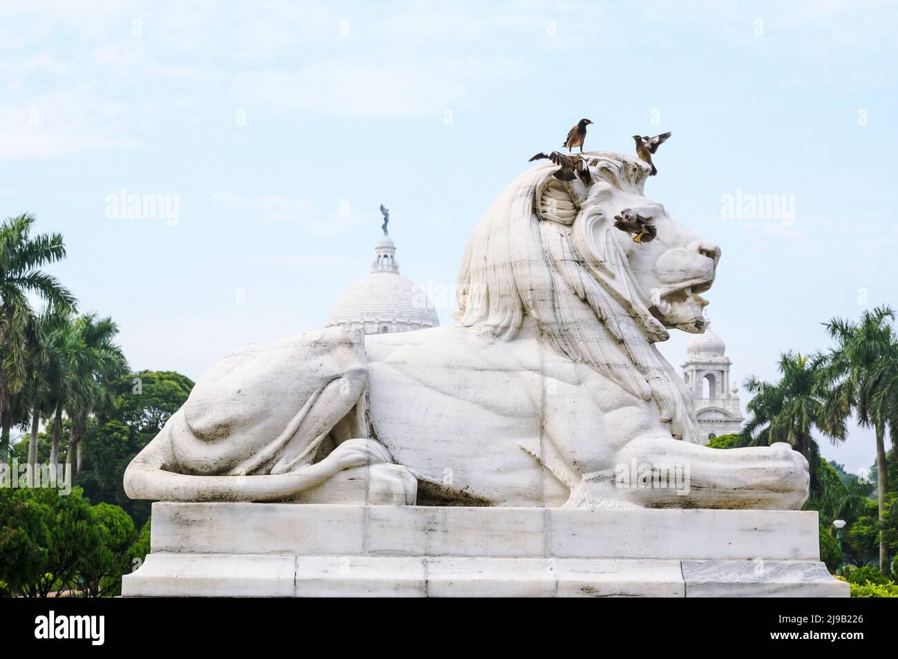 Das Victoria Memorial ist ein großes Marmorgebäude in Central Kalkutta, das zwischen 1906 und 1921 erbaut wurde. Es ist dem Gedenken an Königin Victoria, Kaiserin von Indien von 1876 bis 1901, Westbengalen, Indien, gewidmet. Stockfoto